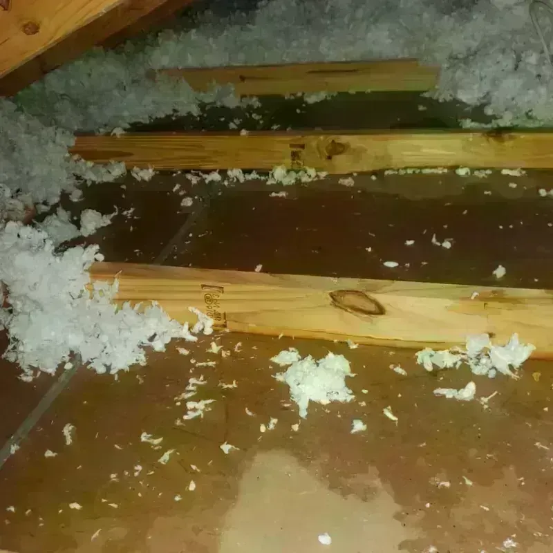 Attic Water Damage in Rock Hill, MO