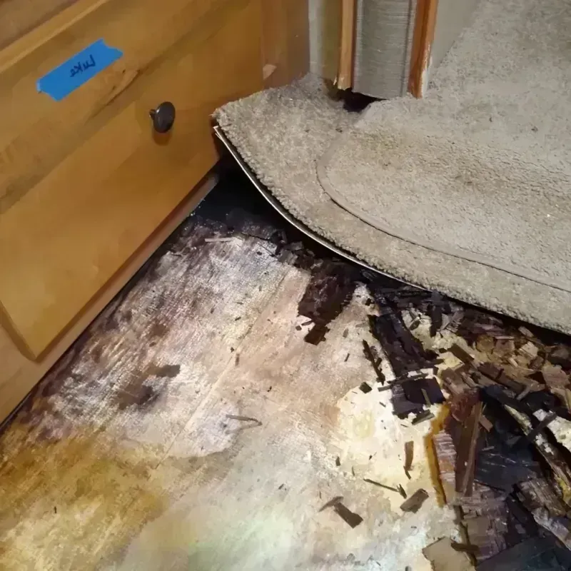 Wood Floor Water Damage in Rock Hill, MO